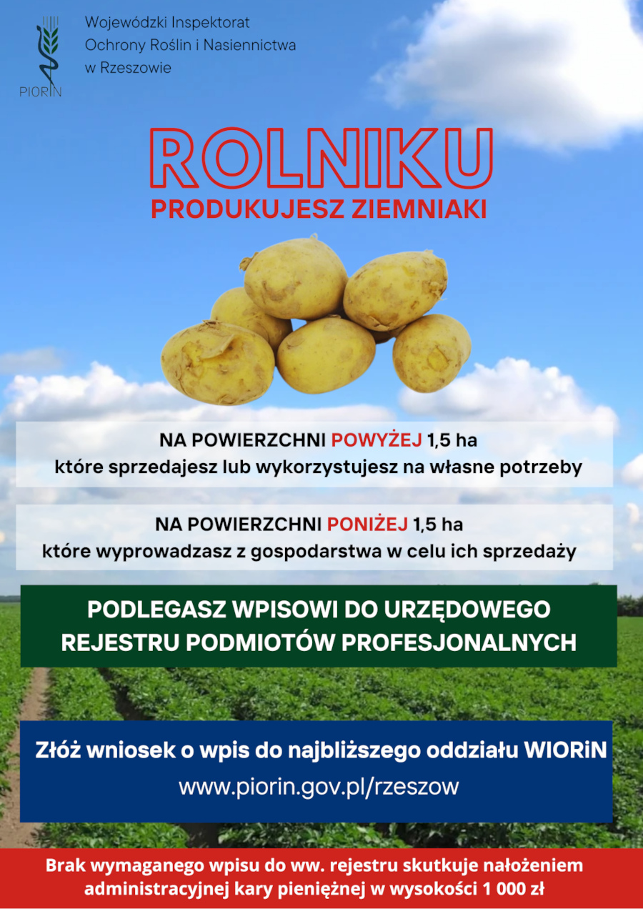 Plakat informacyjny skierowany do rolników produkujących ziemniaki. Na górze logo Wojewódzkiego Inspektoratu Ochrony Roślin i Nasiennictwa w Rzeszowie oraz napis: „ROLNIKU, PRODUKUJESZ ZIEMNIAKI”. W centralnej części grafika przedstawiająca stos ziemniaków na tle nieba. Poniżej tekst:   - „Na powierzchni POWYŻEJ 1,5 ha, które sprzedajesz lub wykorzystujesz na własne potrzeby.”   - „Na powierzchni PONIŻEJ 1,5 ha, które wyprowadzasz z gospodarstwa w celu ich sprzedaży.”  Pod tekstem znajduje się zielony pasek z białym napisem: „Podlegasz wpisowi do urzędowego rejestru podmiotów profesjonalnych”. Na dole plakat zachęca do złożenia wniosku w najbliższym oddziale WIORiN, podając stronę internetową: **www.piorin.gov.pl/rzeszow**. U dołu czerwona informacja o karze administracyjnej w wysokości 1000 zł za brak wpisu do rejestru. W tle dolnej części widoczne pole ziemniaków.